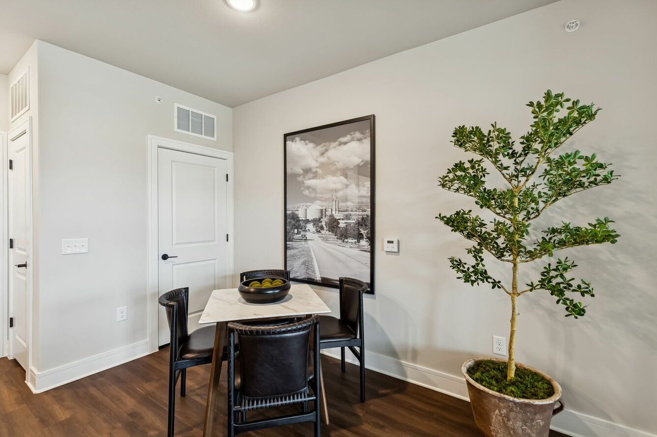 Lakeview at the Gates of Prosper apartment interior - Prosper, TX
